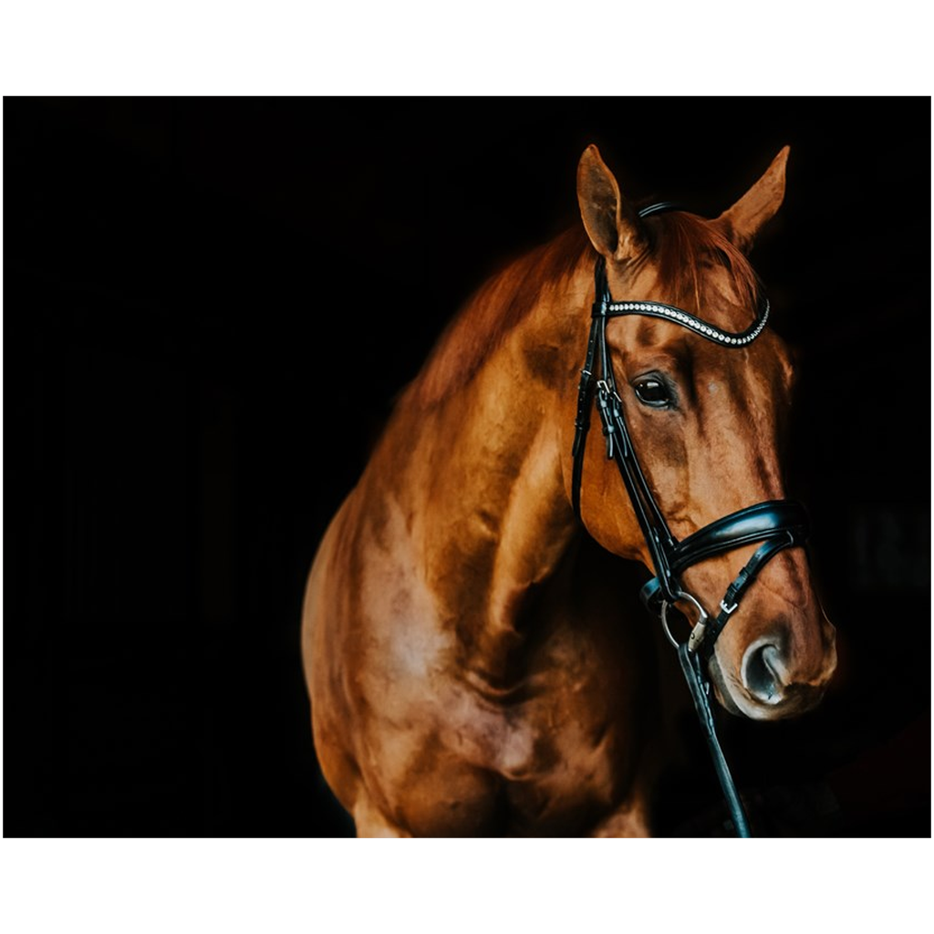 Serengeti Series 6, Print