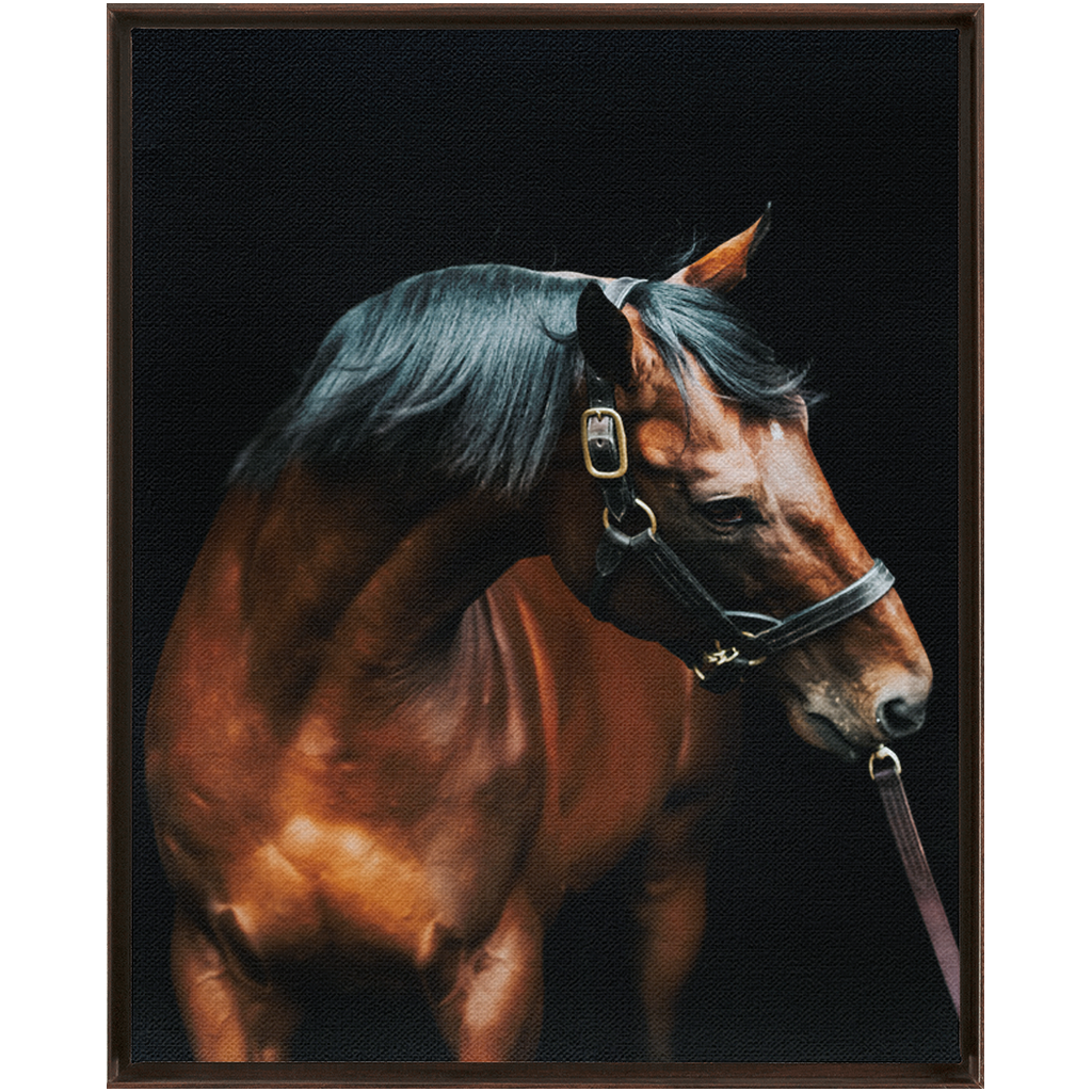 American Pharoah Series 3, Framed Canvas