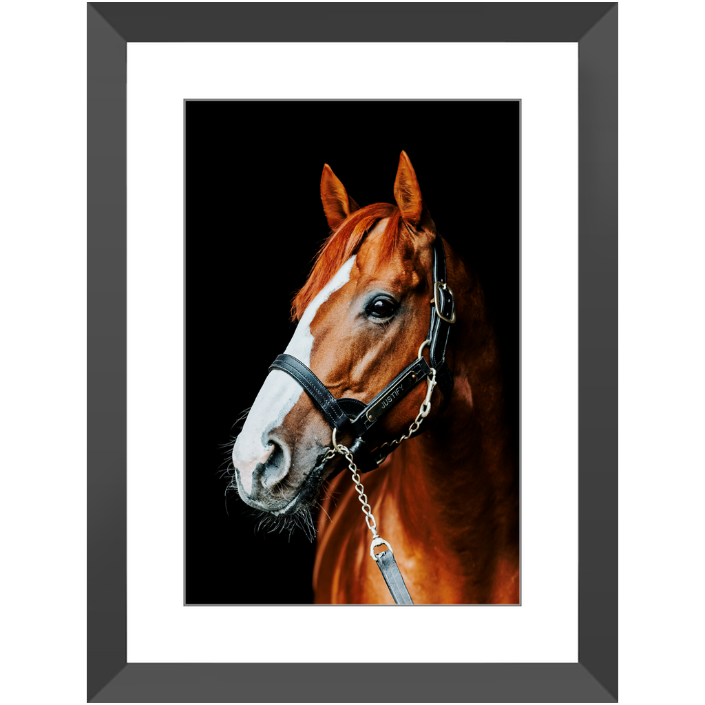 Justify Series 5, Framed Print