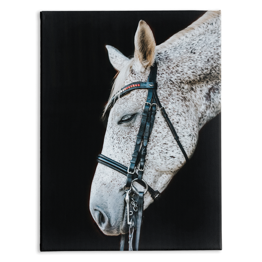 Apollos Series 2, Stretched Canvas