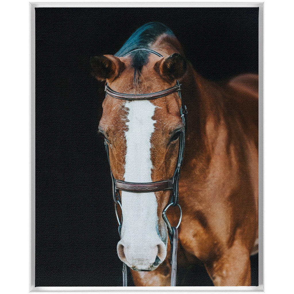 Huntsman Series 6, Framed Canvas