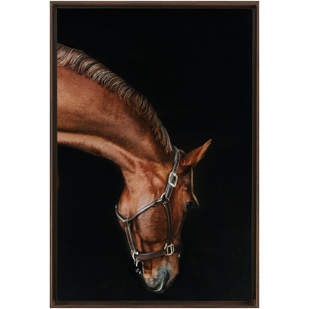 Django Series 6, Framed Canvas