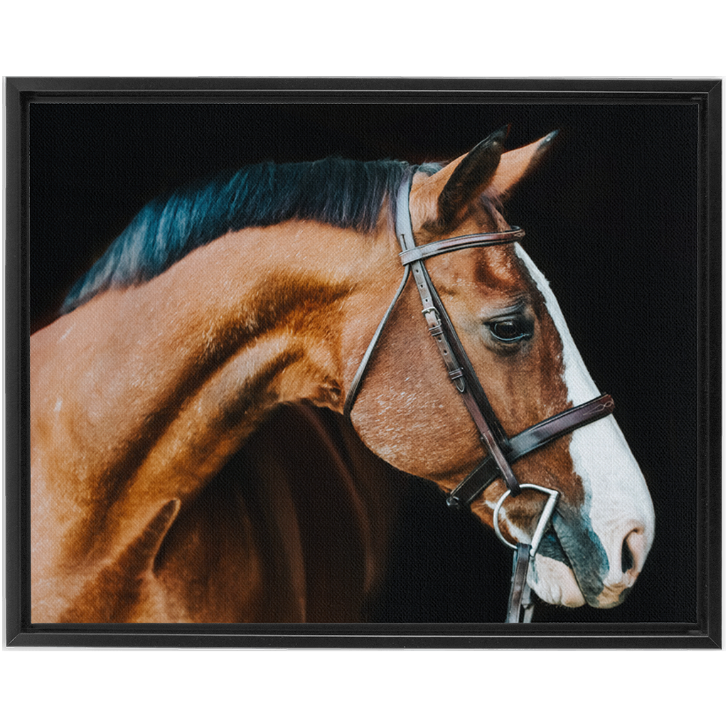 Huntsman Series 3, Framed Canvas