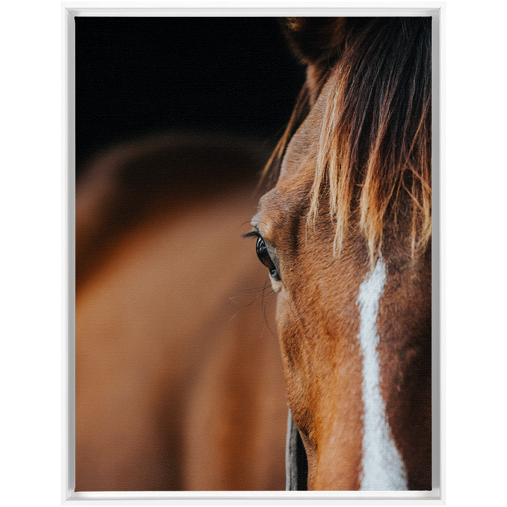 Majestic 1, Framed Canvas