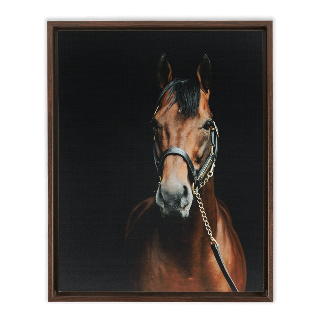 American Pharoah Series 4, Framed Canvas