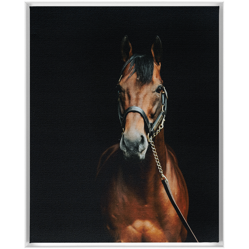 American Pharoah Series 4, Framed Canvas