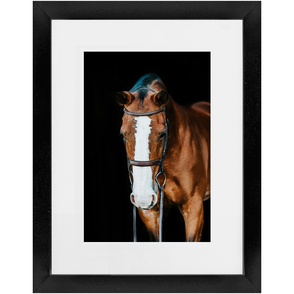 Huntsman Series 6, Framed Print