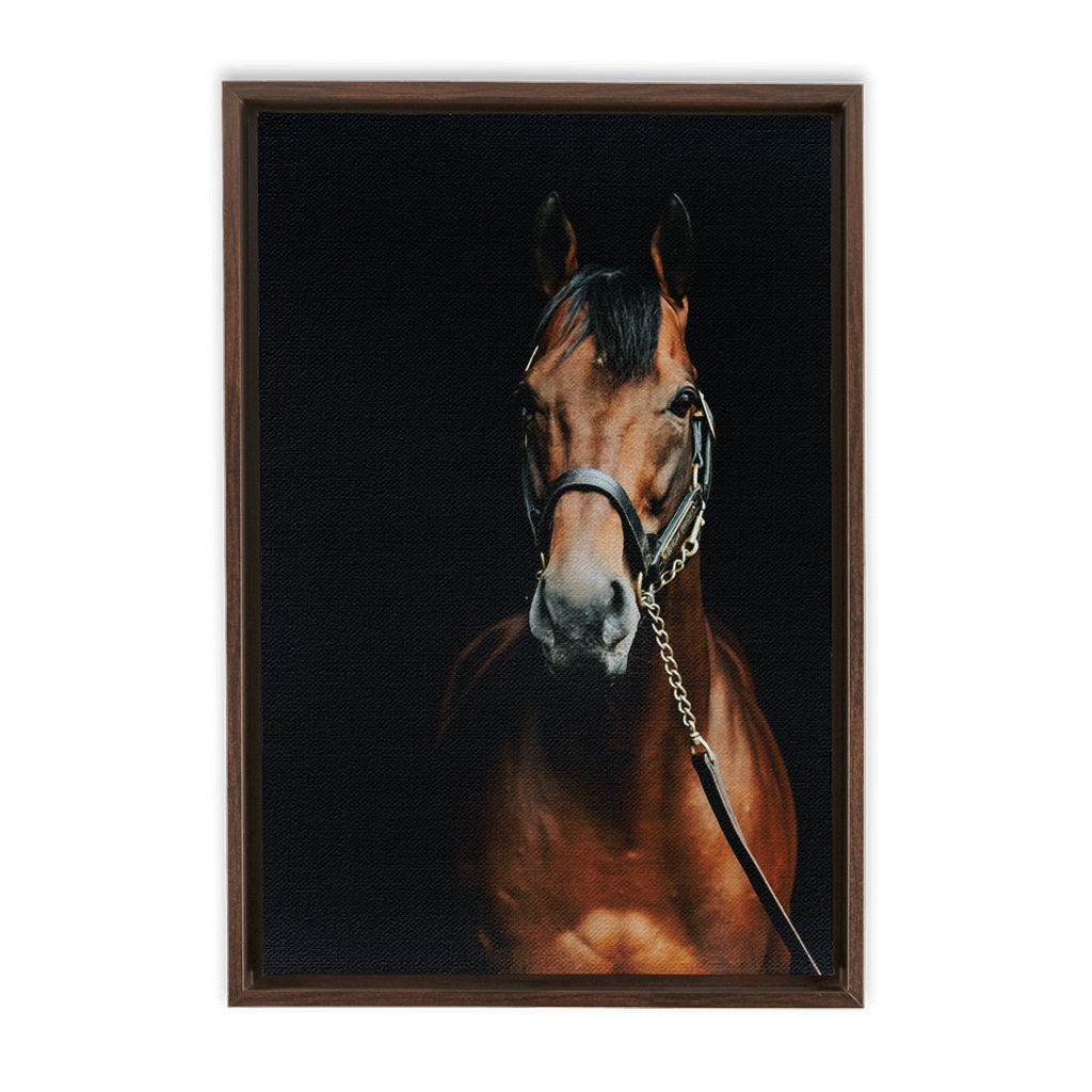 American Pharoah Series 4, Framed Canvas