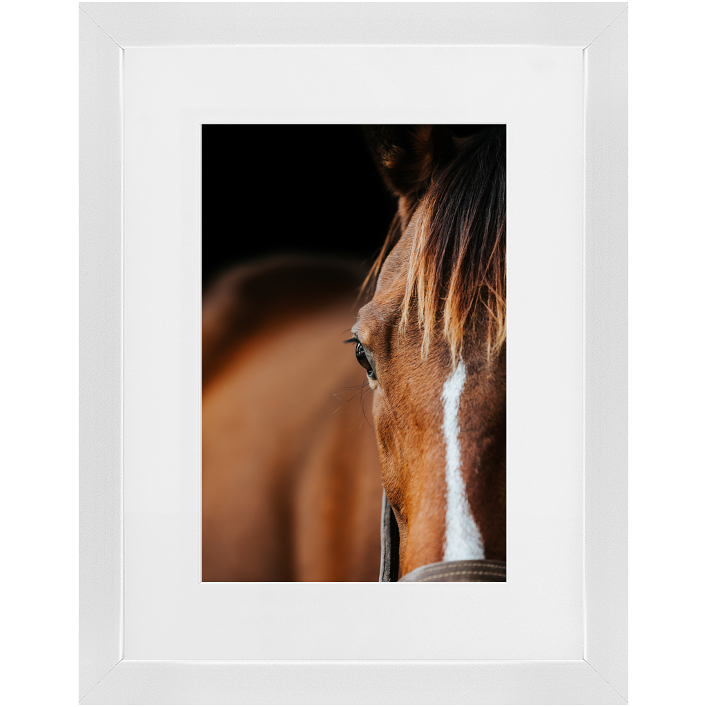 Majestic Series 1, Framed Print