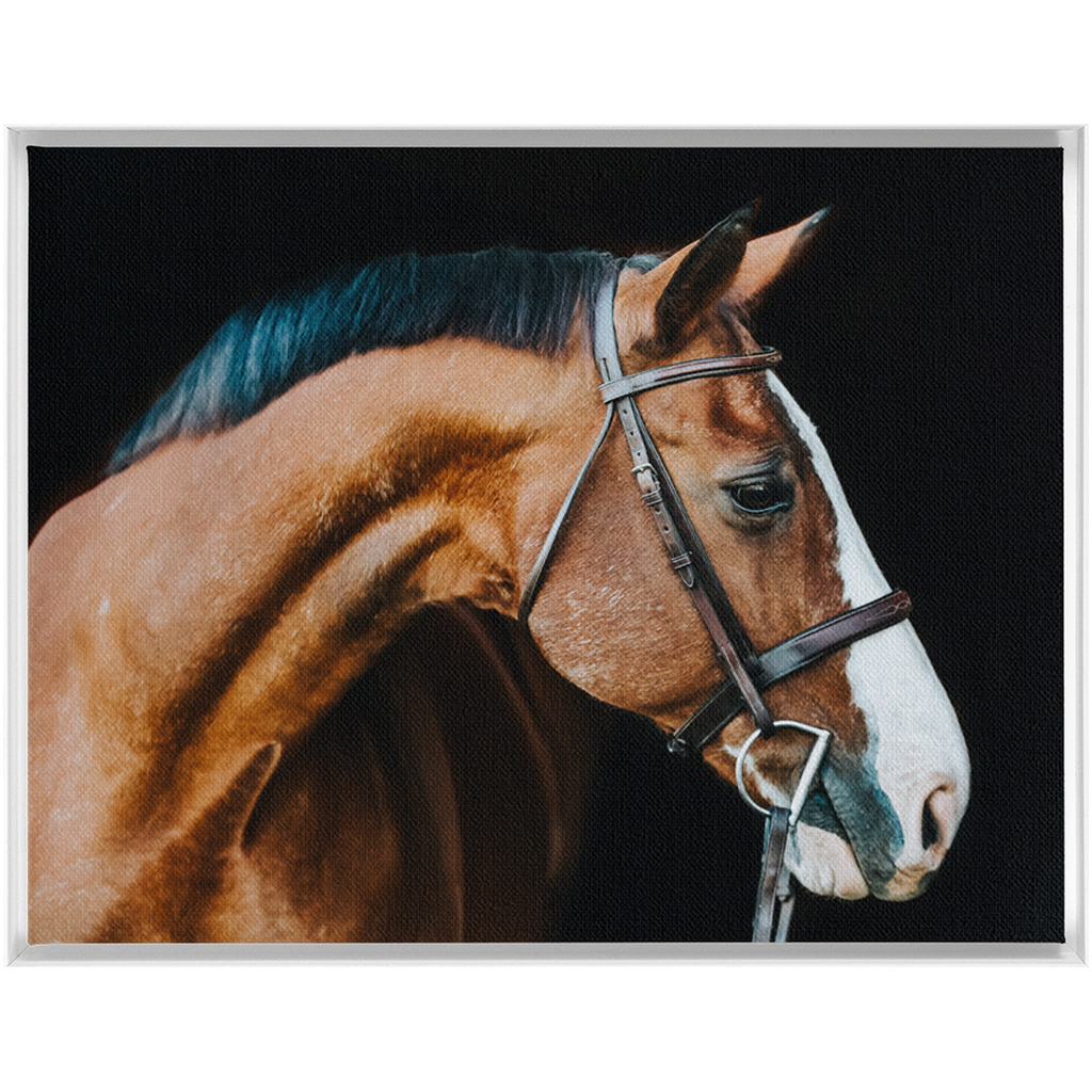 Huntsman Series 3, Framed Canvas