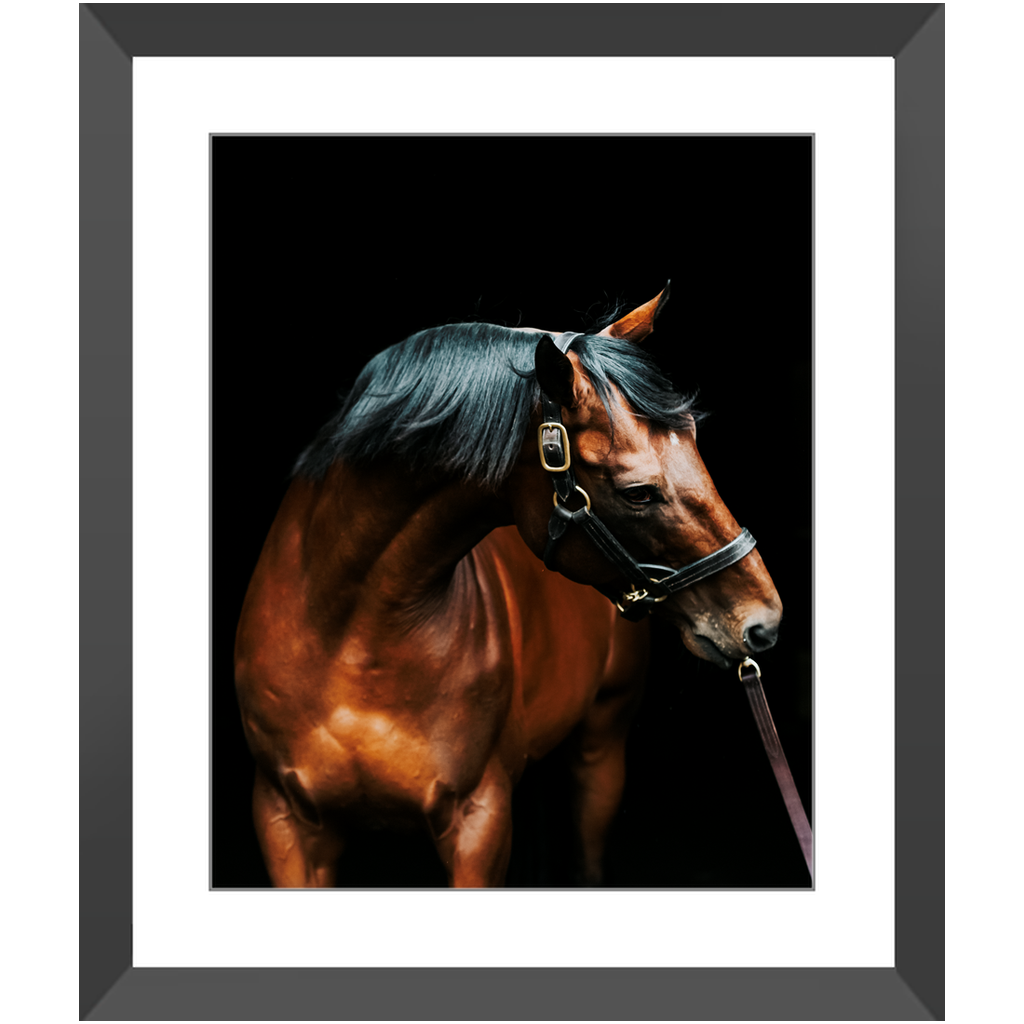 American Pharoah Series 3, Framed Print