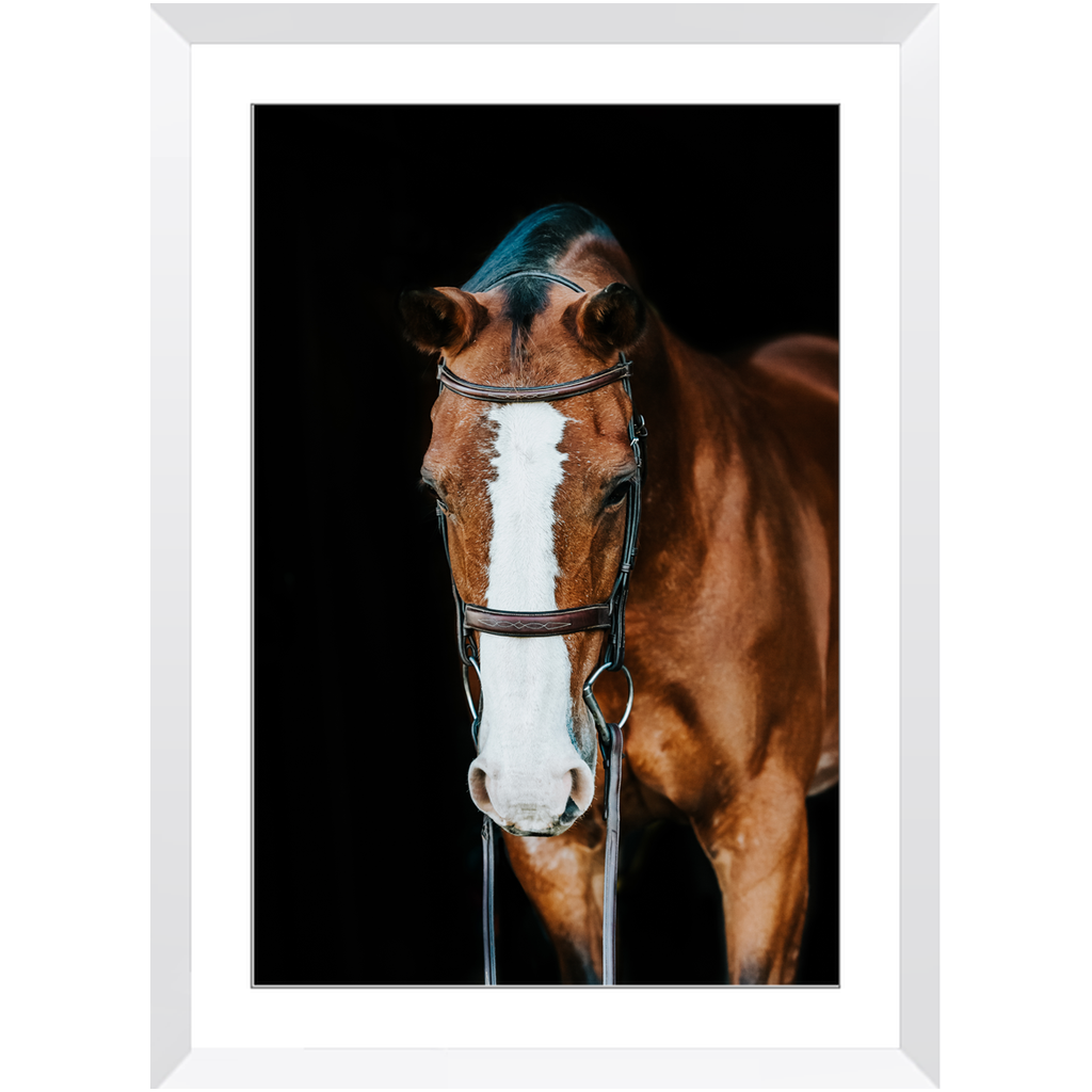 Huntsman Series 6, Framed Print