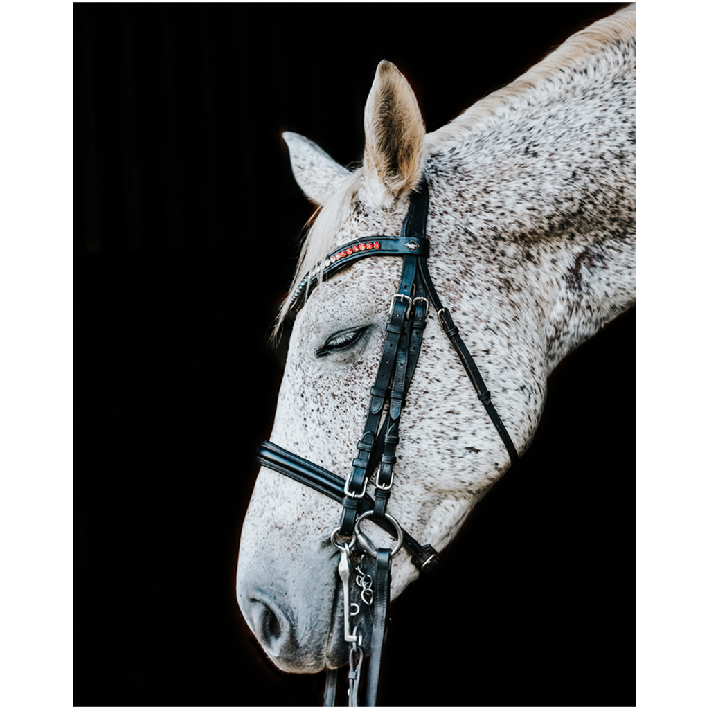 Apollo Series 1, Print