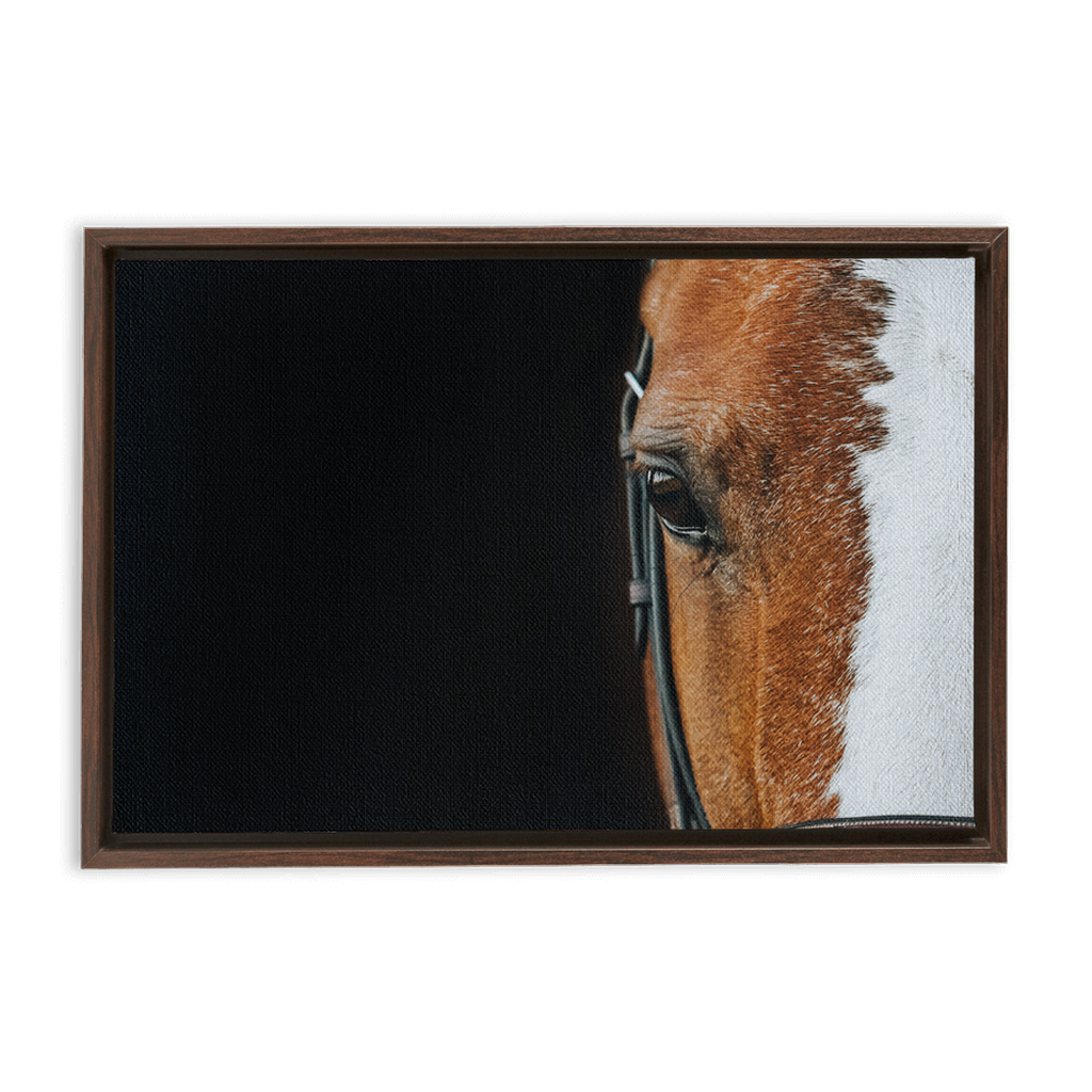 Huntsman Series 5, Framed Canvas