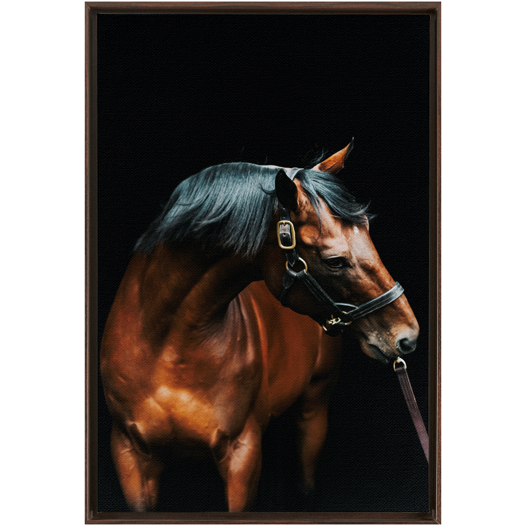 American Pharoah Series 3, Framed Canvas