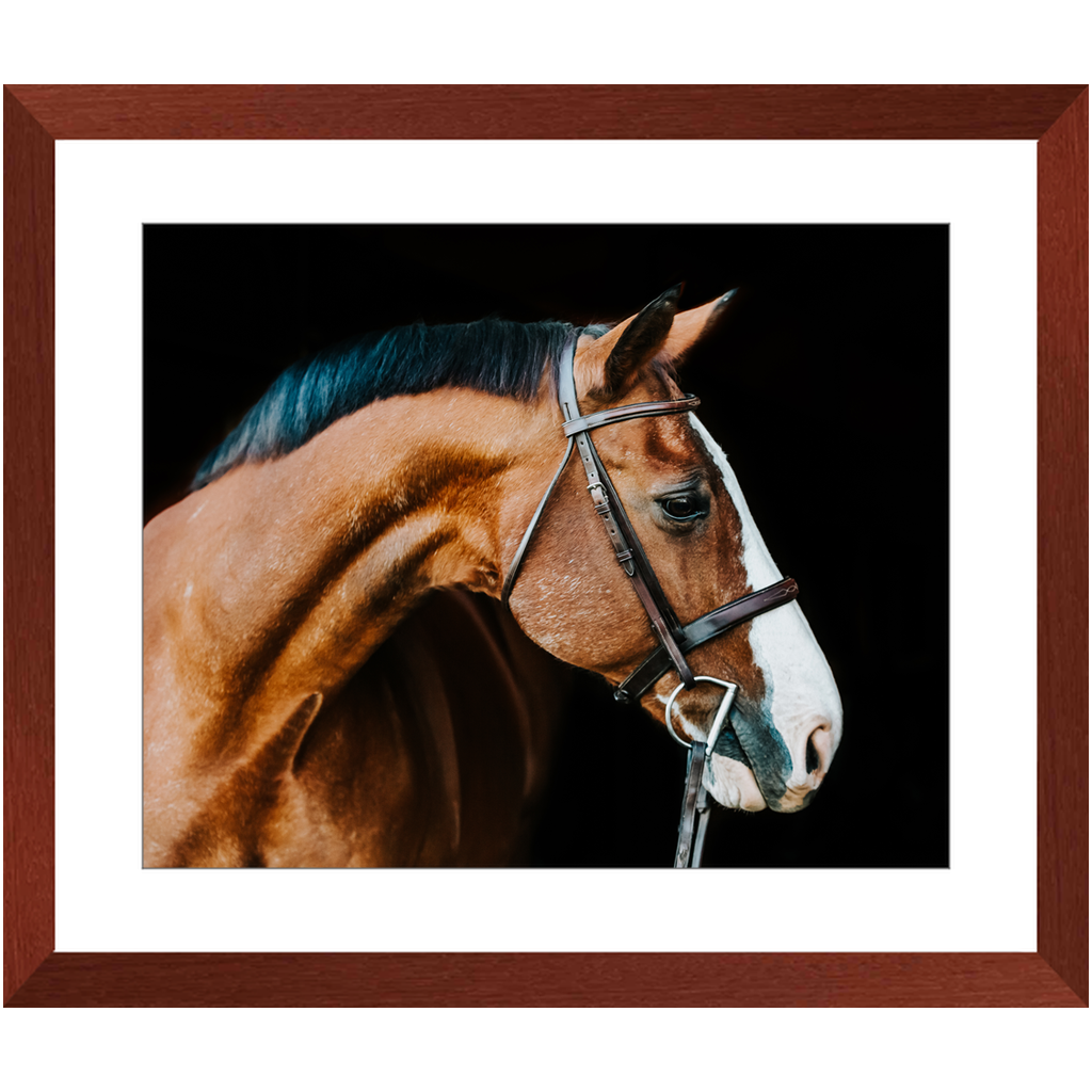 Huntsman Series 3, Framed Print