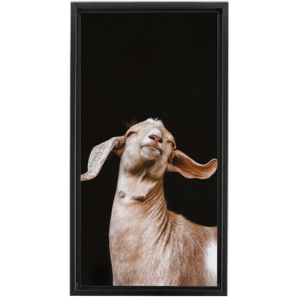 Happy Goat Series 1, Framed Canvas