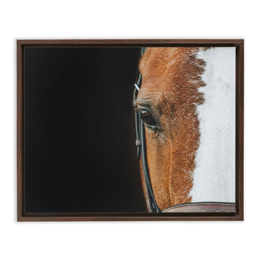 Huntsman Series 5, Framed Canvas