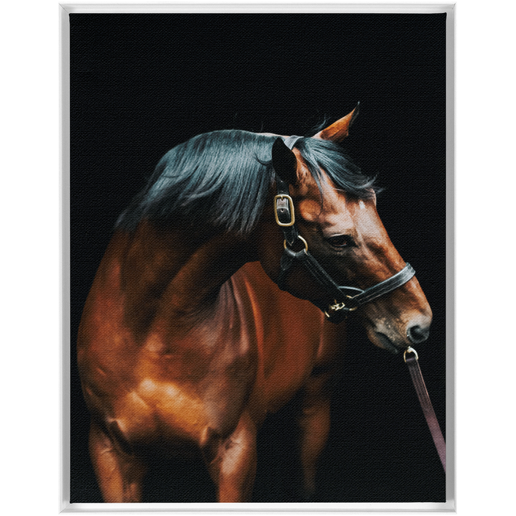 American Pharoah Series 3, Framed Canvas