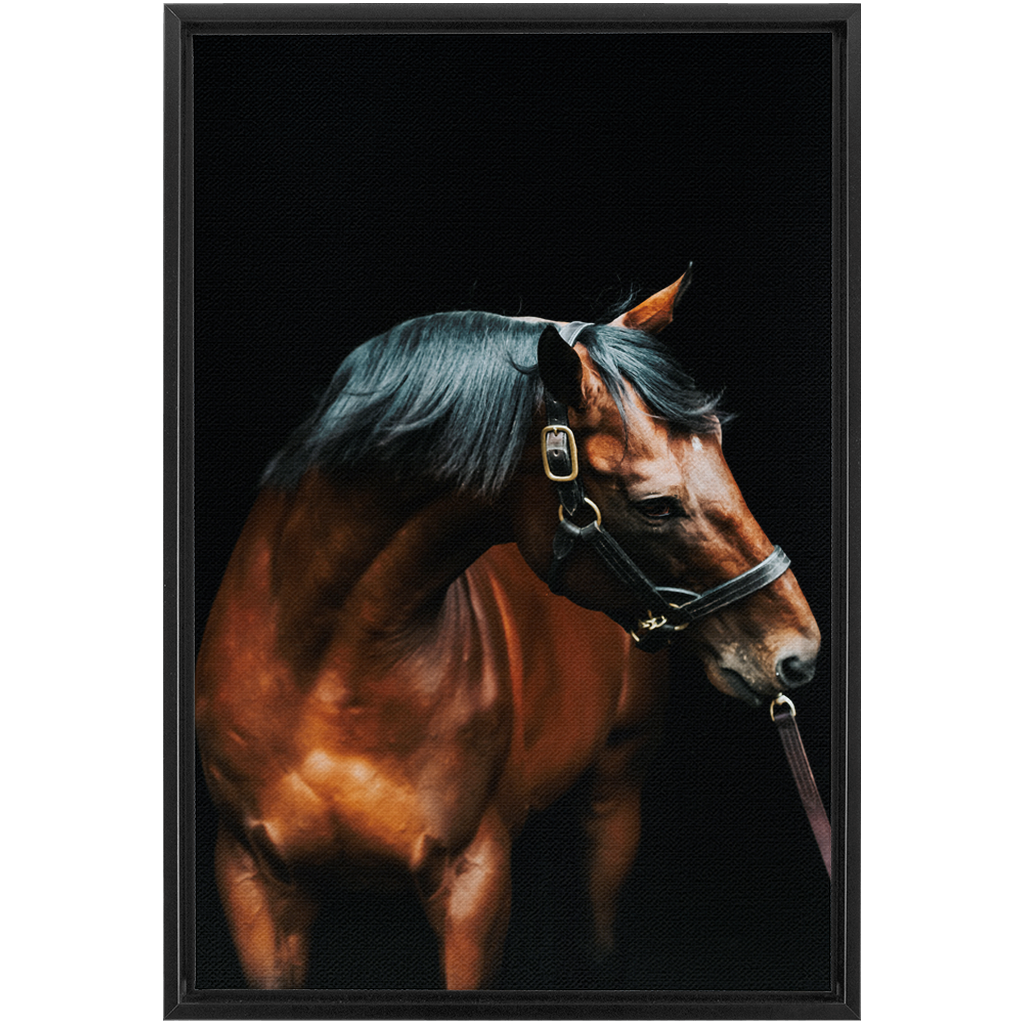 American Pharoah Series 3, Framed Canvas