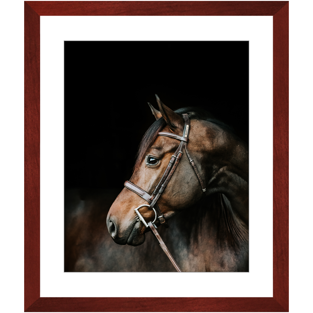 Jovial Series 3, Framed Print