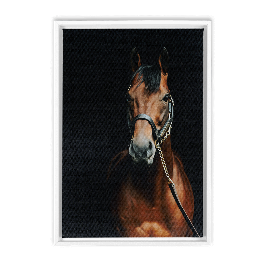 American Pharoah Series 4, Framed Canvas