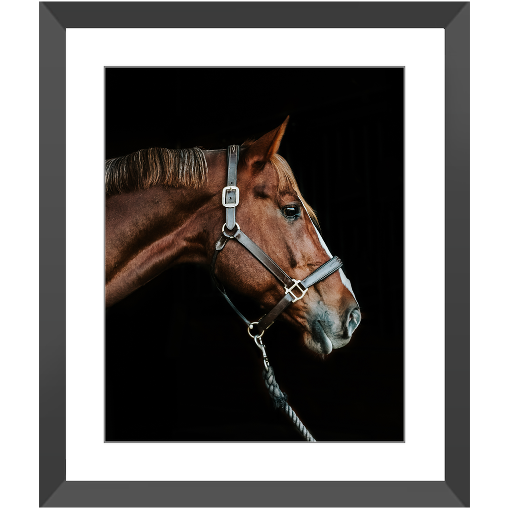 Django Series 3, Framed Print