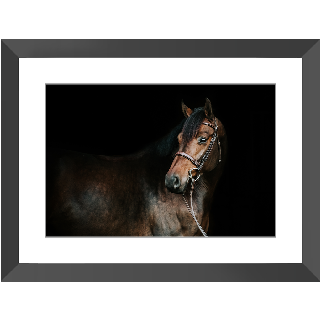 Jovial Series 2, Framed Print