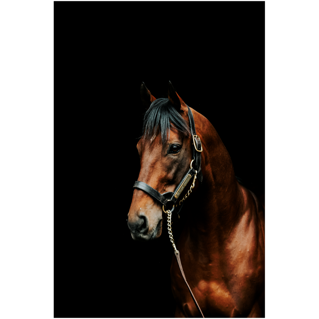 American Pharoah Series 2, Print