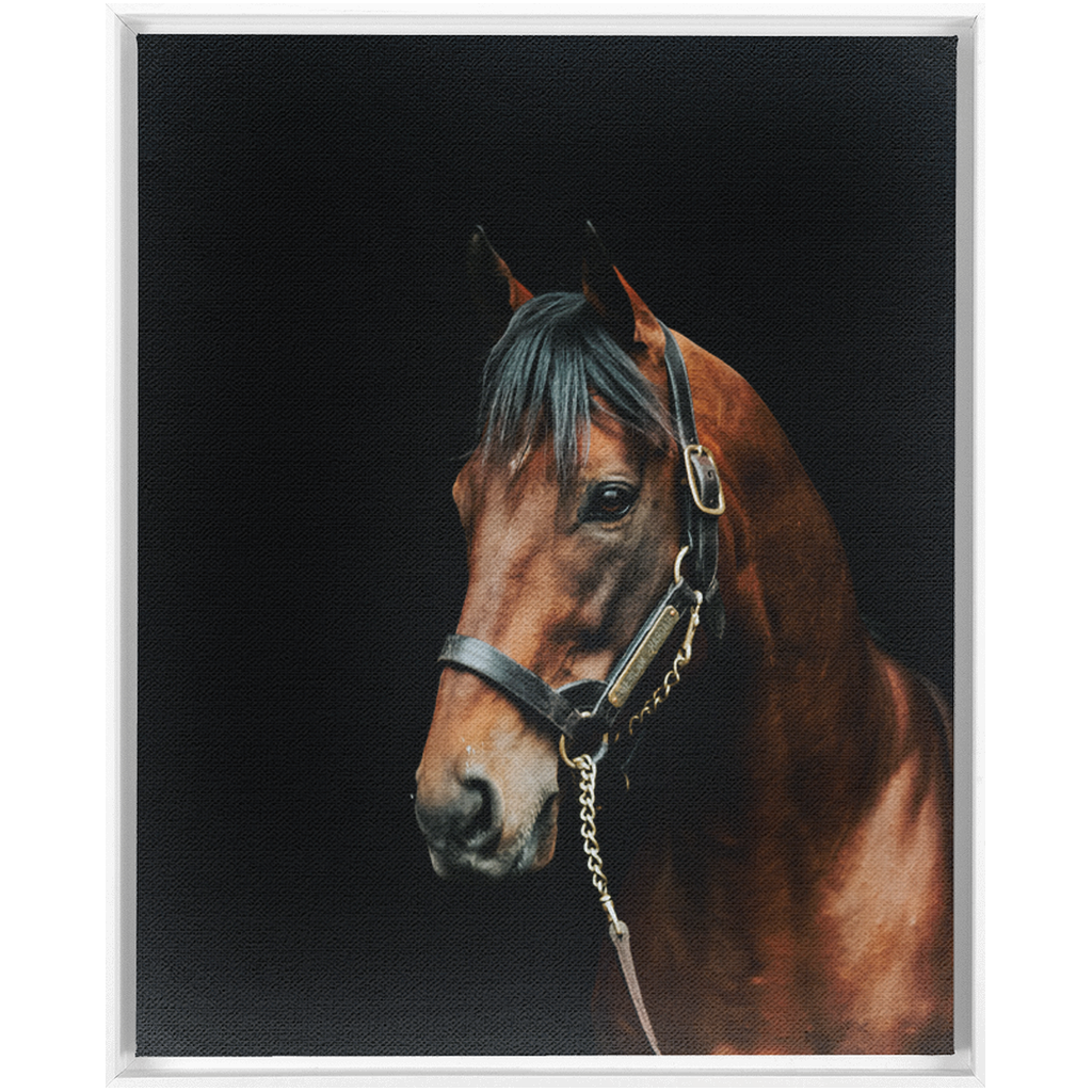 American Pharoah Series 2, Framed Canvas