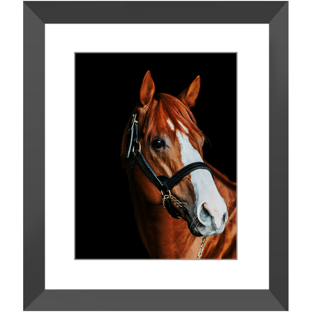 Justify Series 2, Framed Print