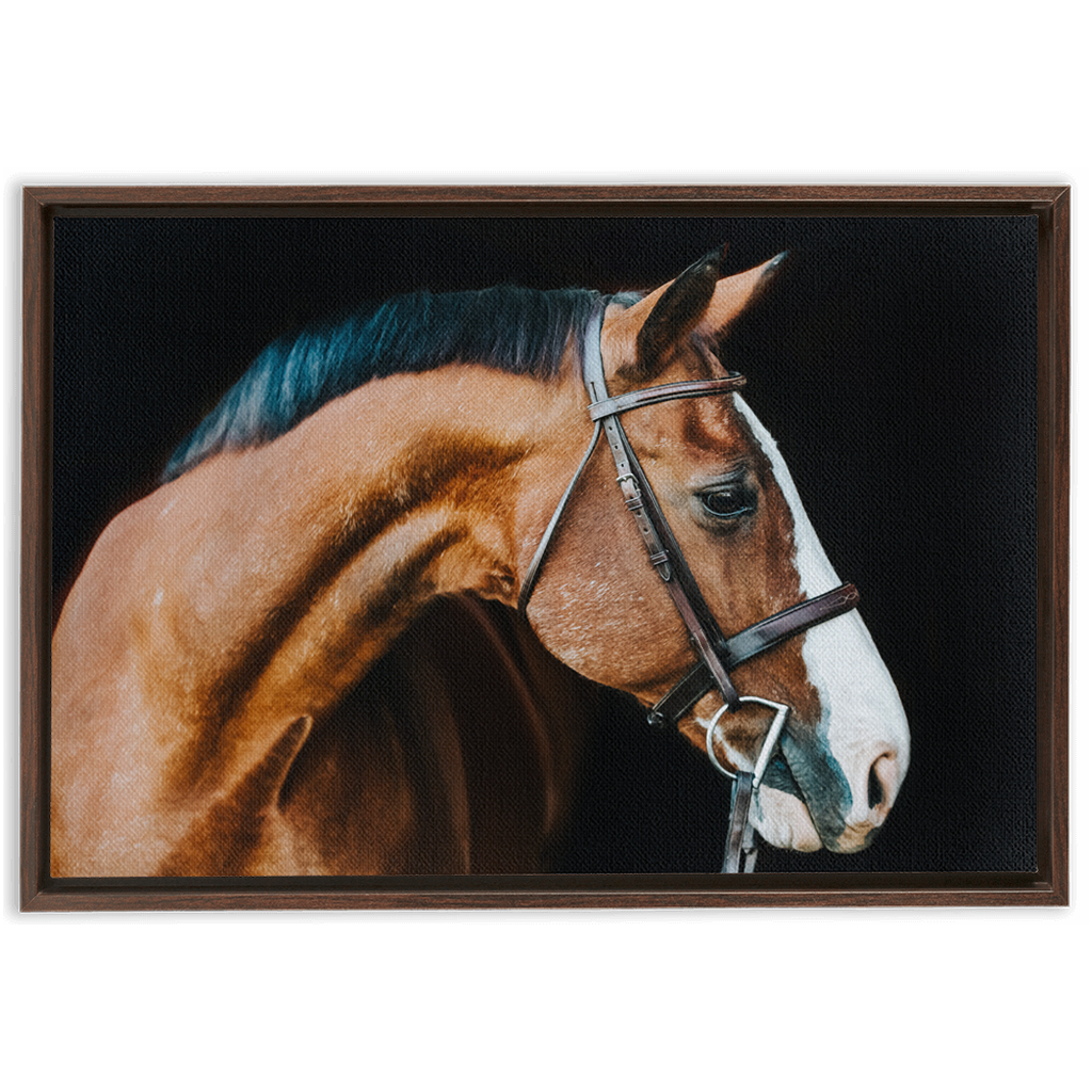 Huntsman Series 3, Framed Canvas