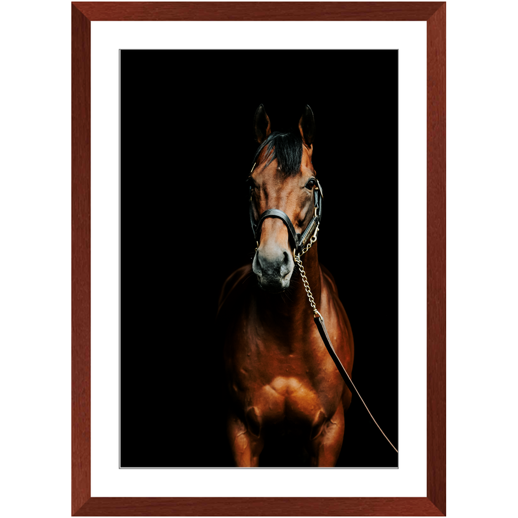 American Pharoah Series 4, Framed Print