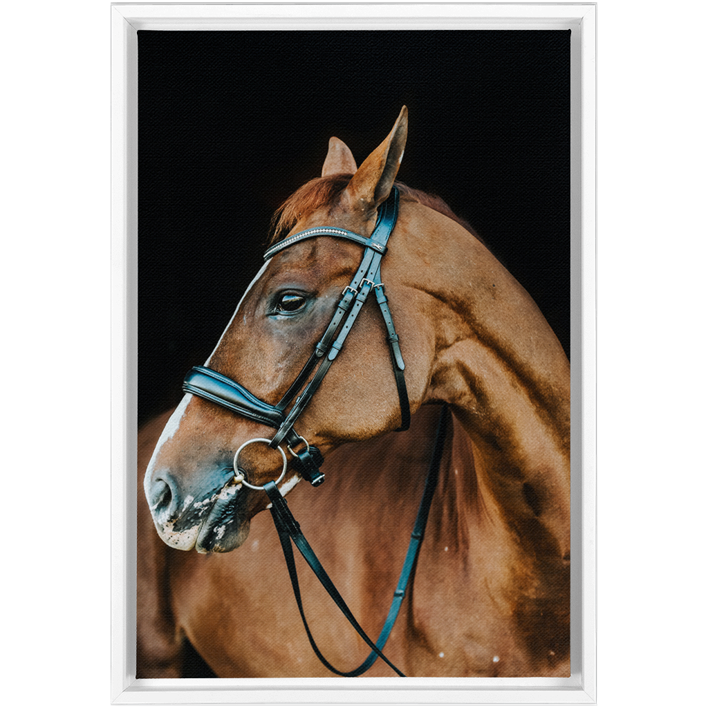 Hudson Series 6, Framed Canvas
