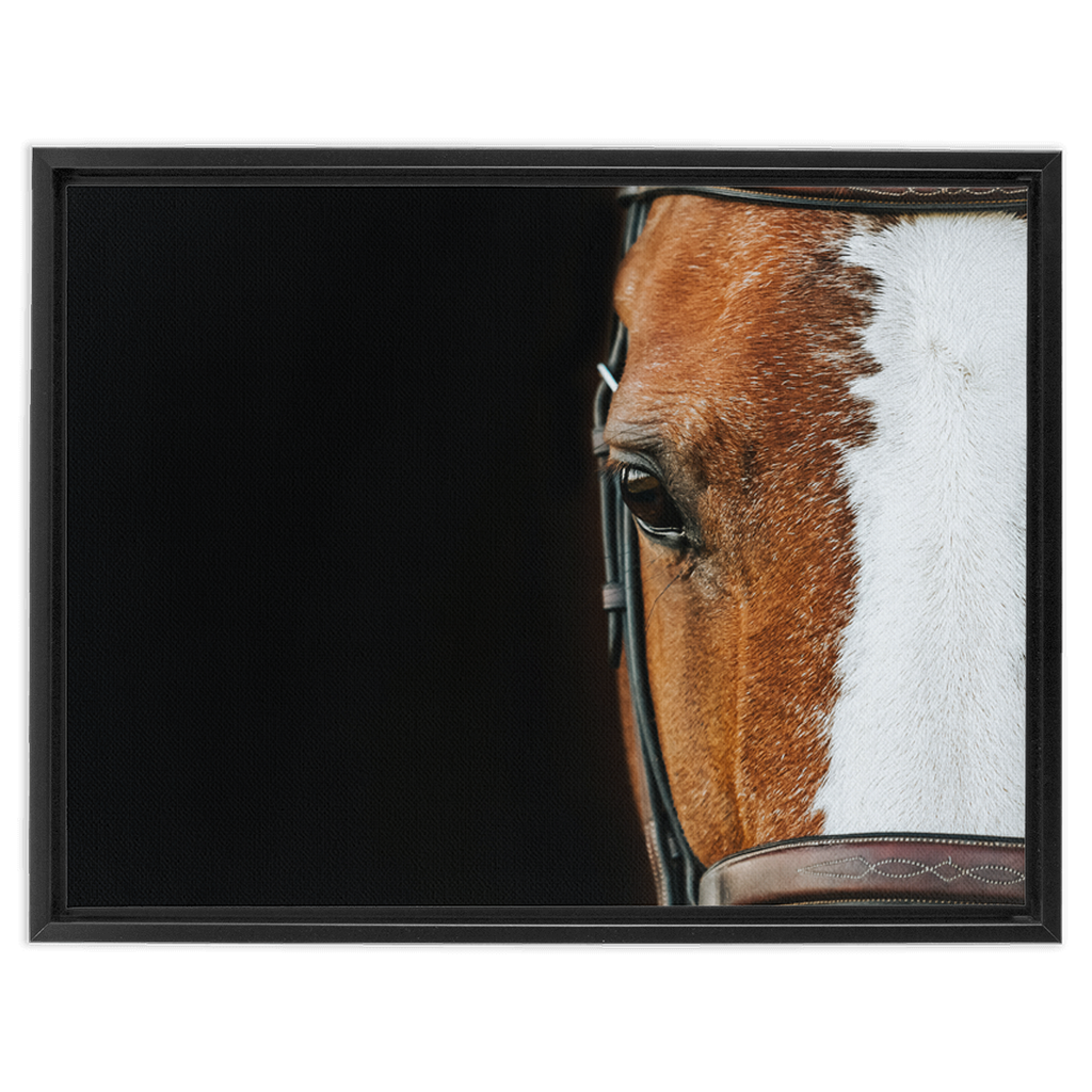 Huntsman Series 5, Framed Canvas