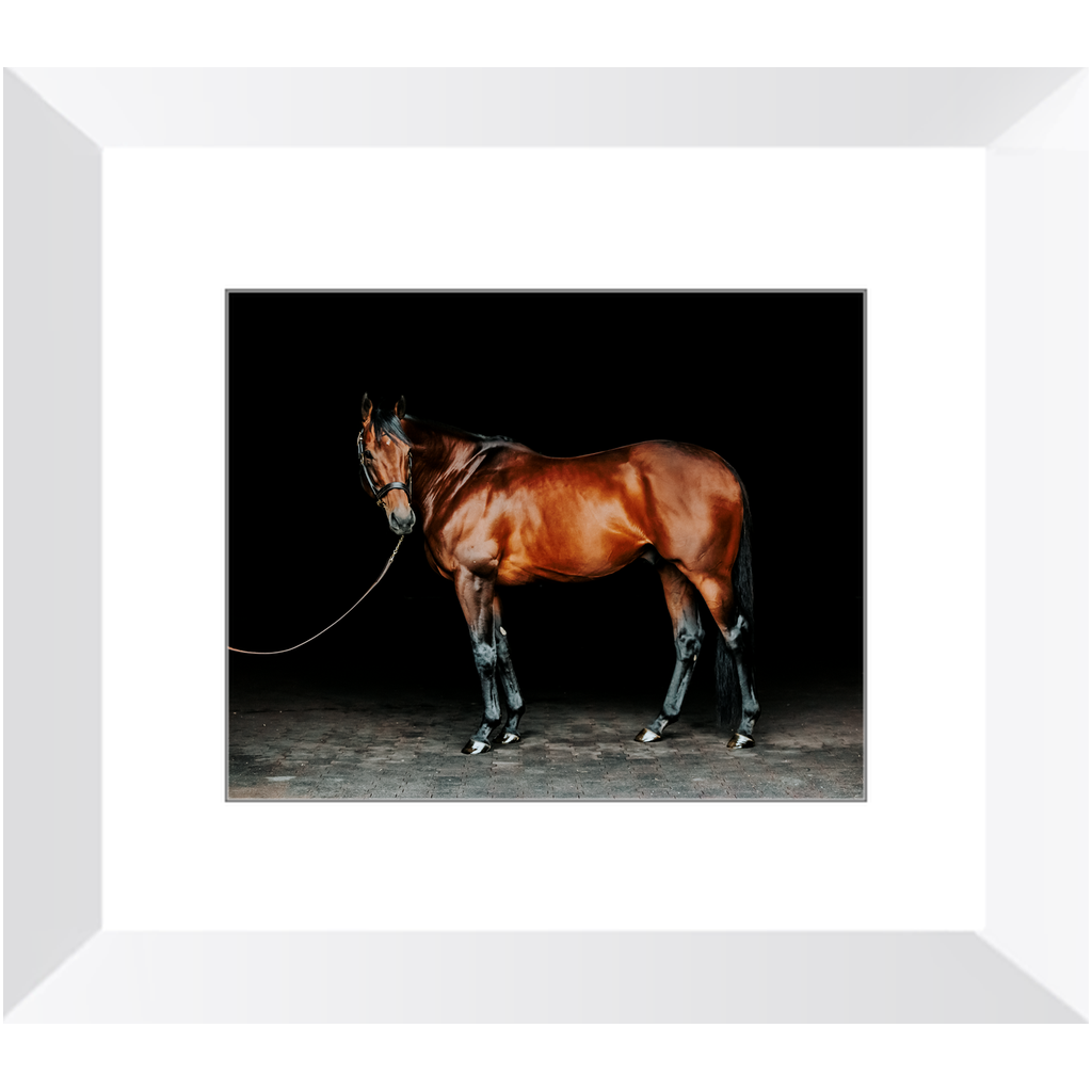 American Pharoah Series 1, Framed Print