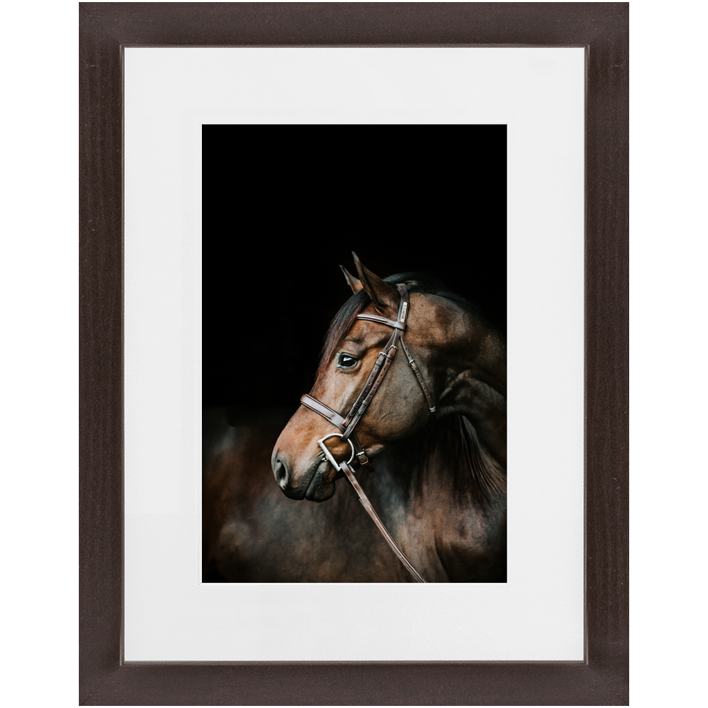 Jovial Series 3, Framed Print