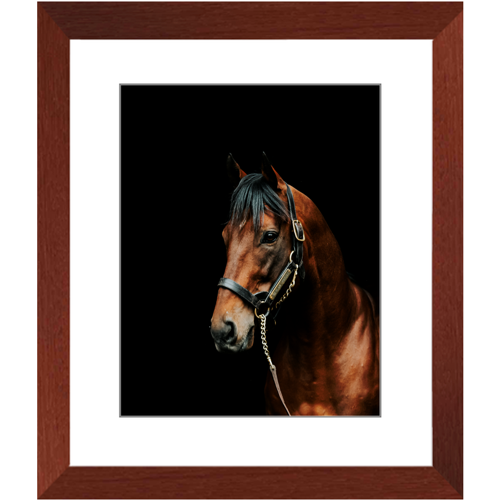American Pharoah Series 2, Framed Print