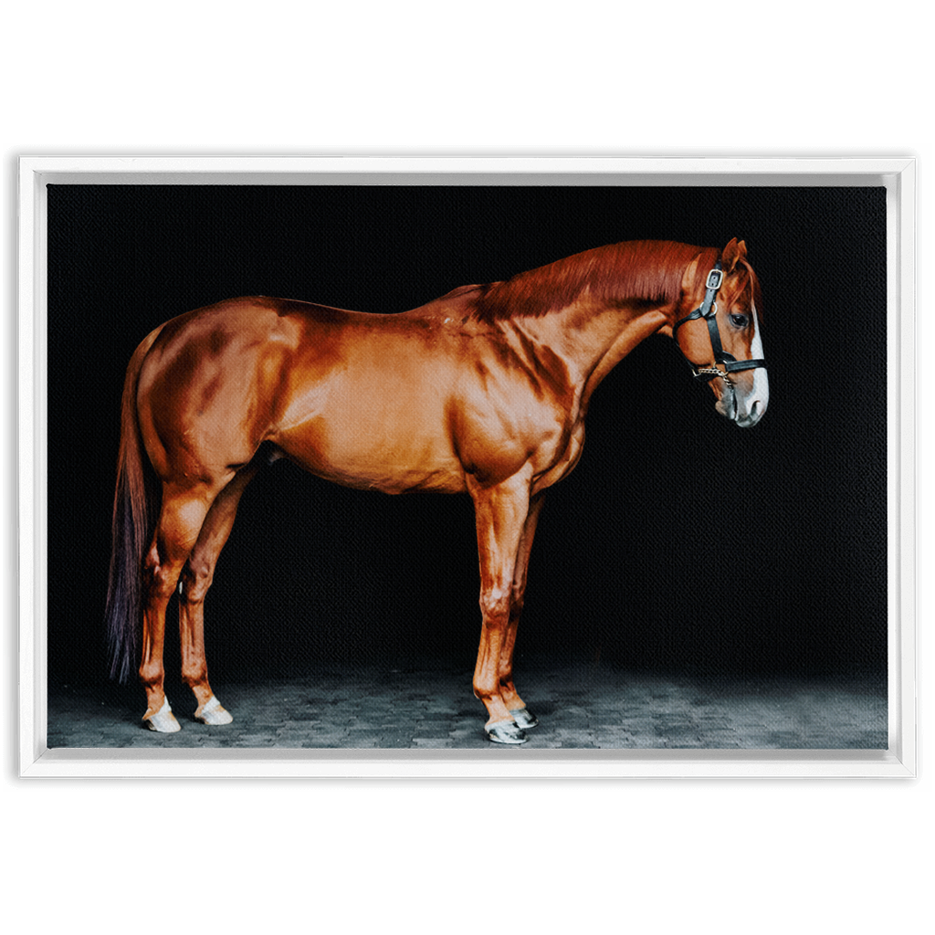 Justify Series 6, Framed Canvas
