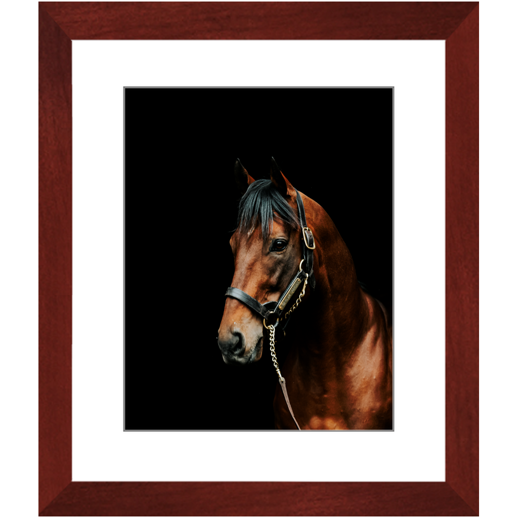 American Pharoah Series 2, Framed Print