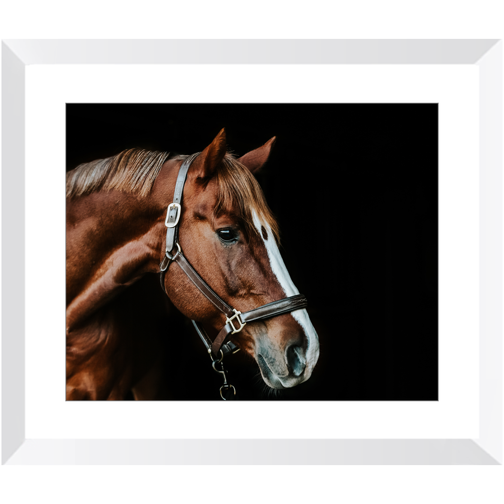 Django Series 5, Framed Print