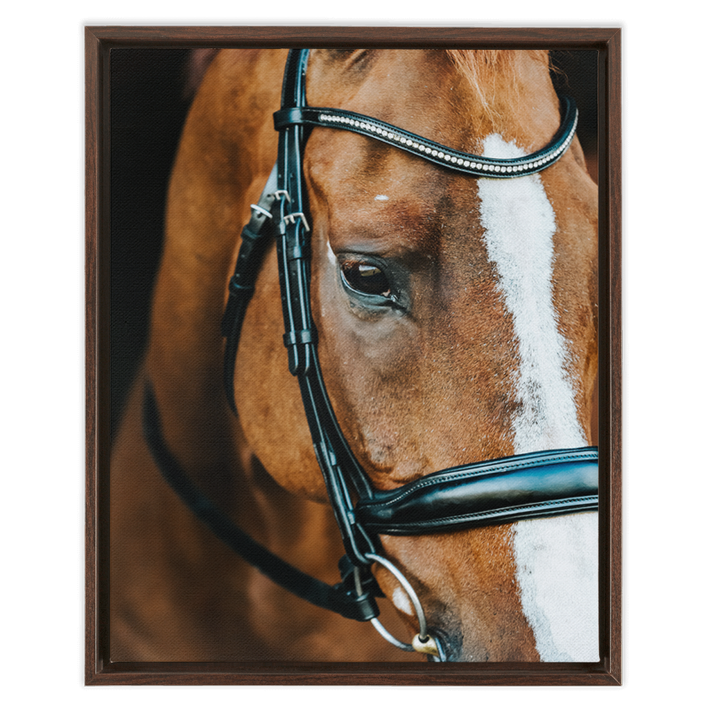 Hudson Series 3, Framed Canvas