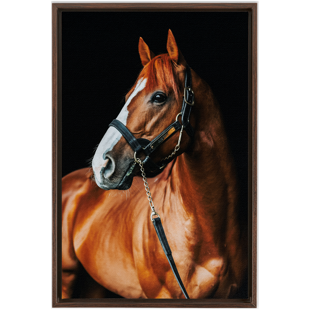 Justify Series 1, Framed Canvas