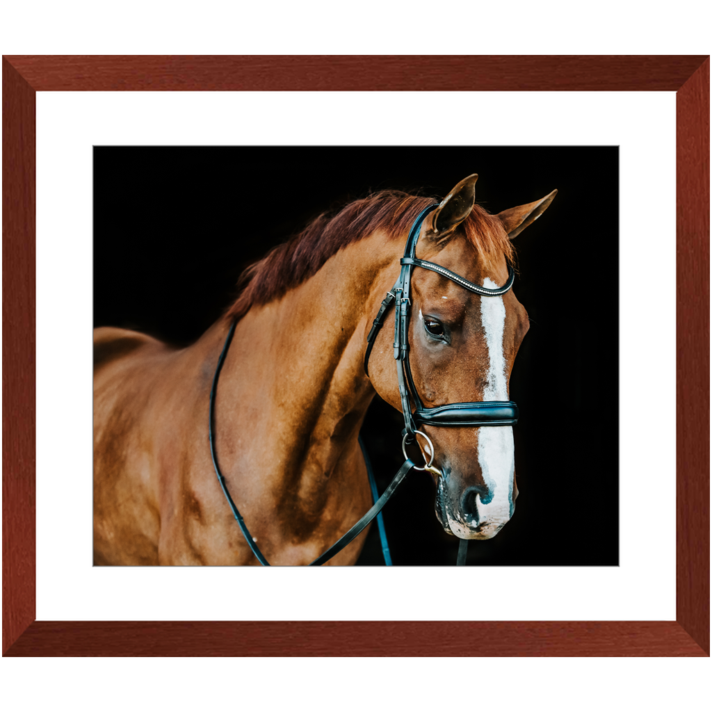 Hudson Series 1, Framed Print