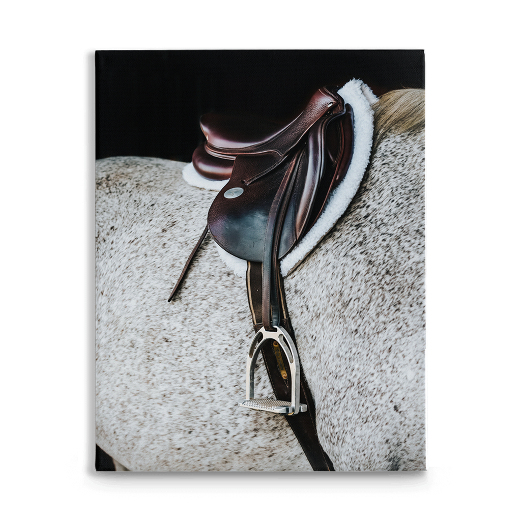 Apollo Series 3, Stretched Canvas
