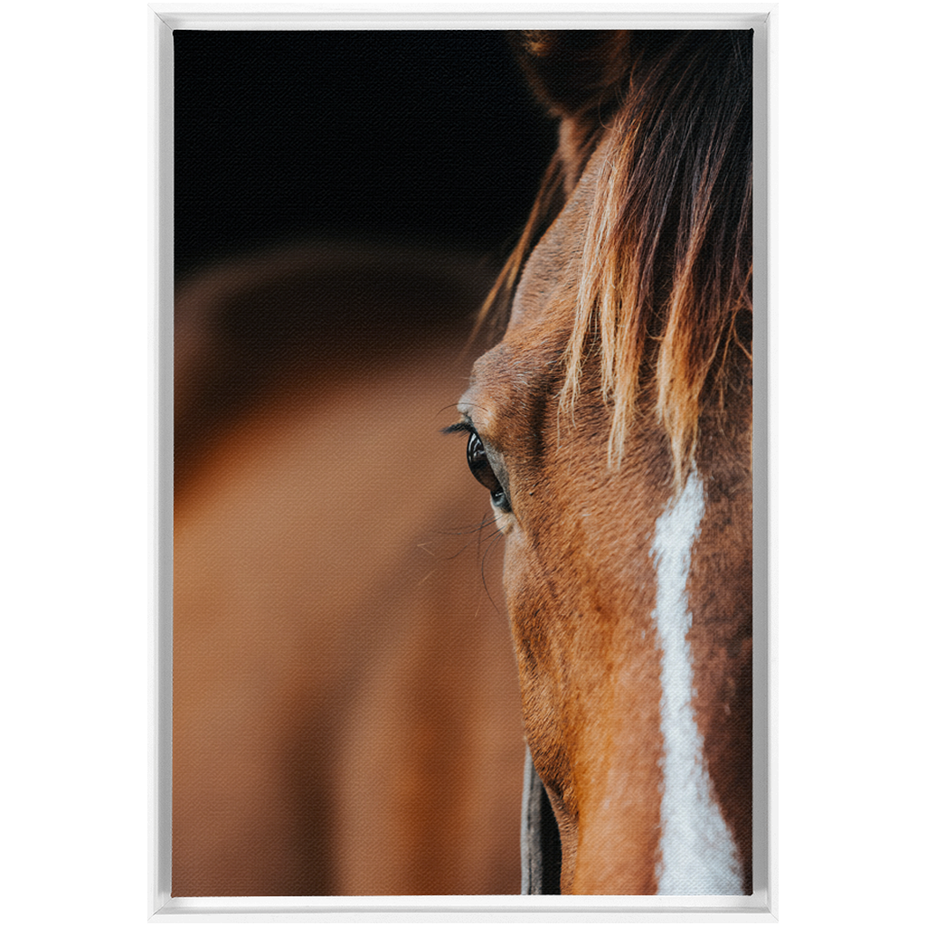 Majestic 1, Framed Canvas