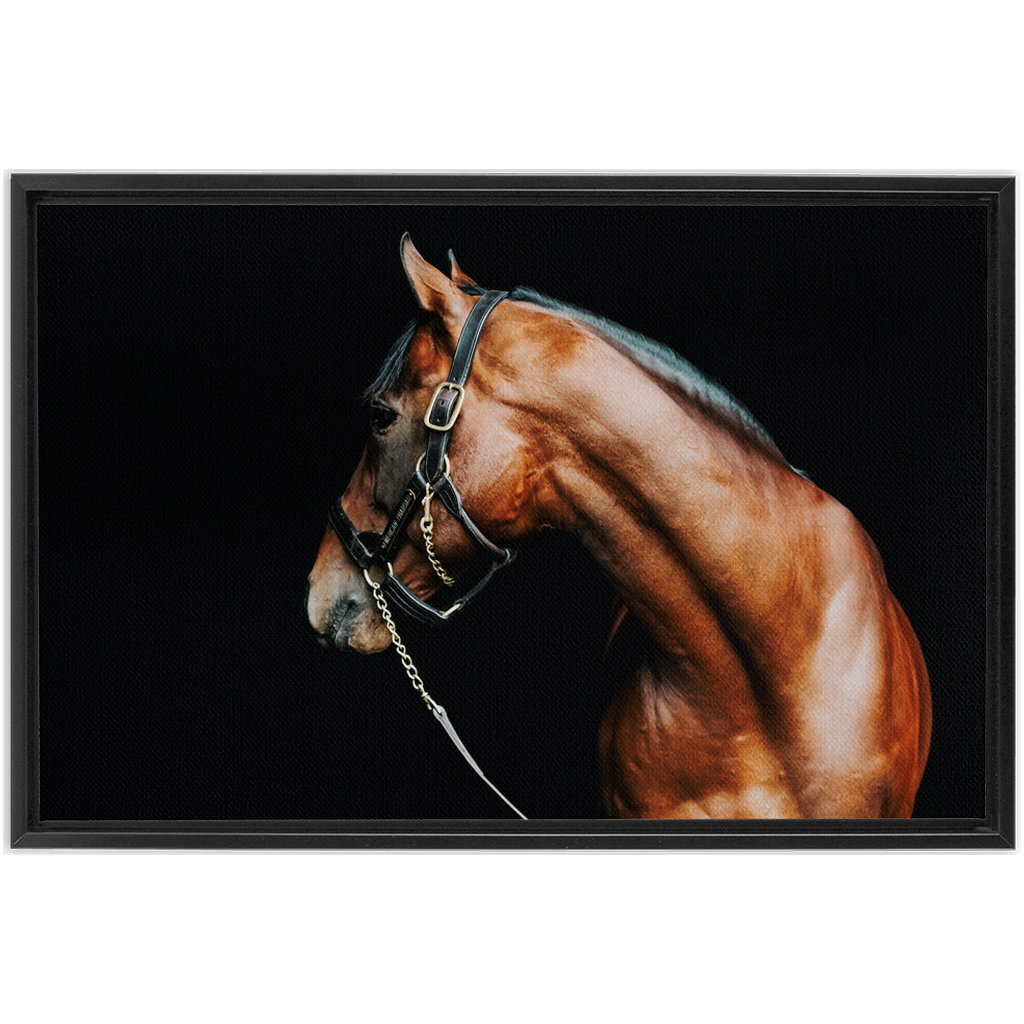 American Pharoah Series 5, Framed Canvas