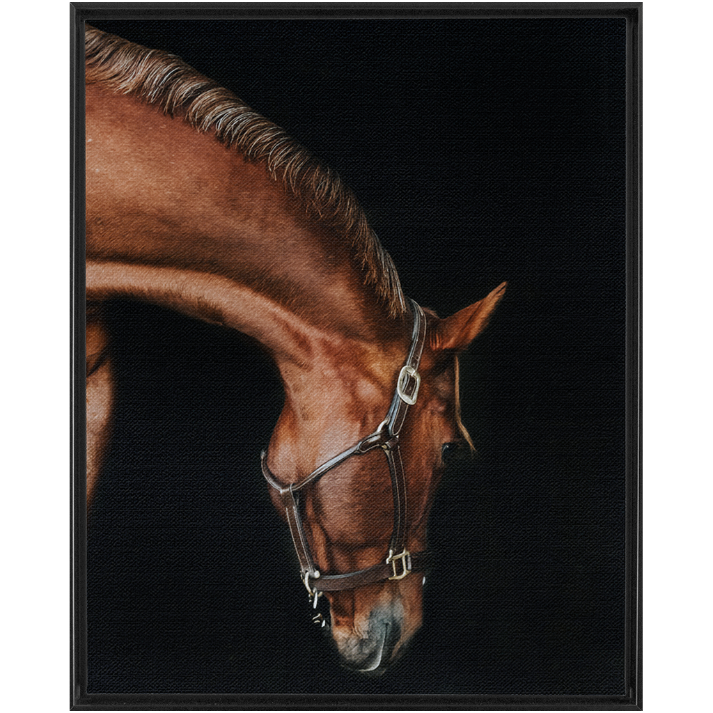 Django Series 6, Framed Canvas
