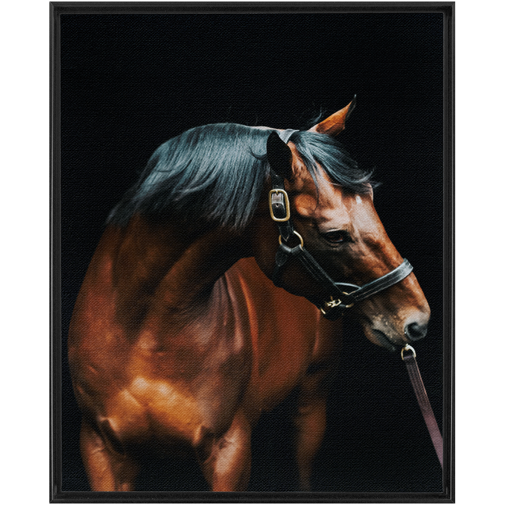 American Pharoah Series 3, Framed Canvas
