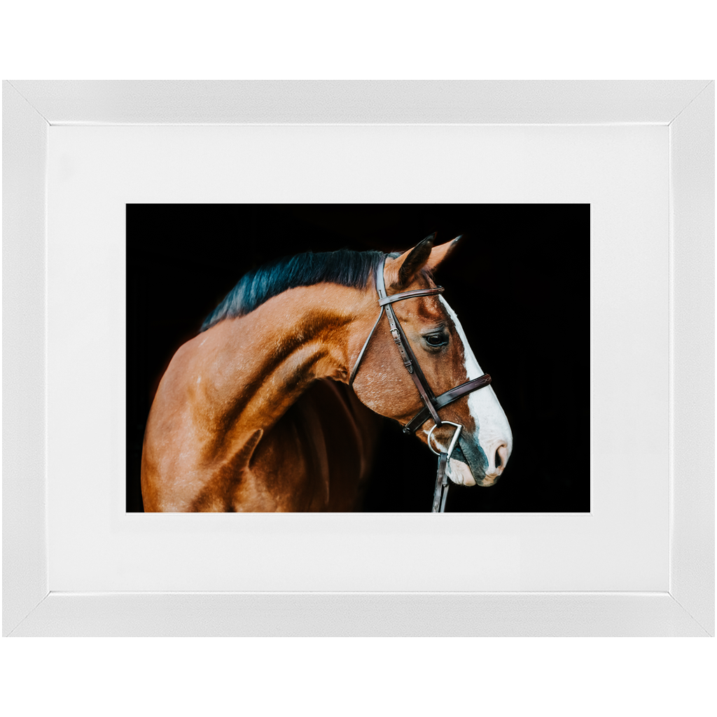 Huntsman Series 3, Framed Print